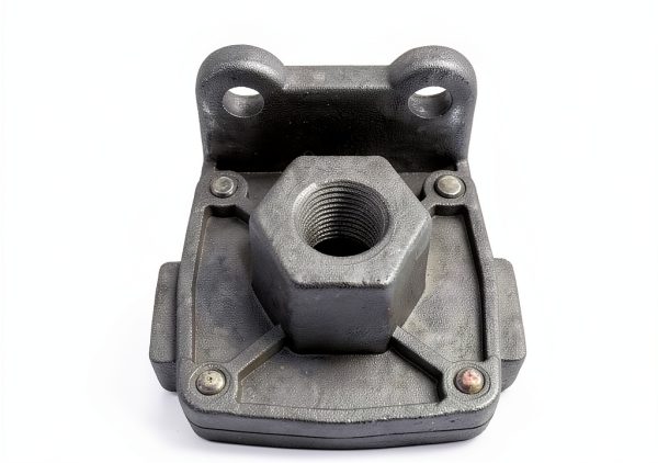 Lnkvorx 229859 Quick Release Valve Stainless Steel-1