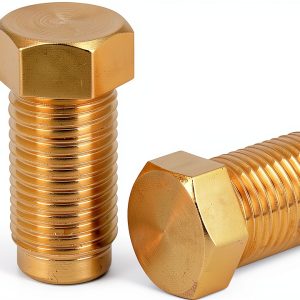 Tobaiwind Brake Line Plugs Brass NPT 1/8-0